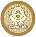 /album/galeria-de-fotos-canil-apolos/logotipo-agora-jpg/